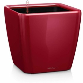 Self-watering flowerpot Lechuza Red 50 x 50 x 46,5 cm Plastic by Lechuza, Flower Pots - Ref: S71000387, Price: 136,77 €, Disc...