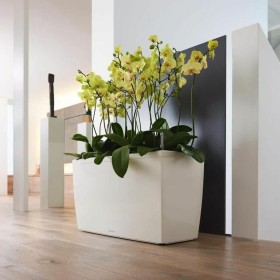 Plant pot Lechuza 43 x 75 x 43 cm Plastic Rectangular by Lechuza, Flower Pots - Ref: S71000406, Price: 145,43 €, Discount: %