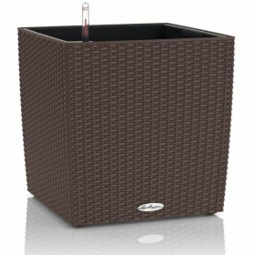 Plant pot Lechuza 50 x 50 cm Brown Black polypropylene Plastic by Lechuza, Flower Pots - Ref: S71000657, Price: 127,18 €, Dis...