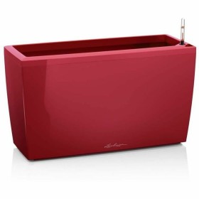 Plant pot Lechuza 75 x 30 x 43 cm Plastic Rectangular by Lechuza, Flower Pots - Ref: S71000668, Price: 143,31 €, Discount: %