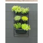 Blumentopf Nature Schwarz Metall rechteckig von Nature, Übertöpfe - Ref: S71001099, Preis: 57,38 €, Rabatt: %