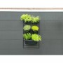 Blumentopf Nature Schwarz Metall rechteckig von Nature, Übertöpfe - Ref: S71001099, Preis: 57,38 €, Rabatt: %