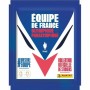 Etiquetas Panini Olympique France 10 Peças | Tienda24 - Global Online Shop Tienda24.eu