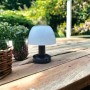 Solar lamp Lumisky | Tienda24 - Global Online Shop Tienda24.eu