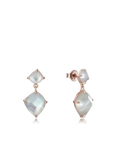 Ladies' Earrings Viceroy 13110E100-39 | Tienda24 Tienda24.eu