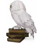 Puzzle Spin Master Hedwig Harry Potter de Spin Master, Puzzles - Ref: S71003985, Precio: 52,04 €, Descuento: %