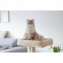 Árvore de arranhar para gatos Kerbl Bege | Tienda24 - Global Online Shop Tienda24.eu