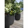 Plantador Capi Europe Preto Plástico Ø 35 cm de Capi Europe, Vasos - Ref: S71007817, Preço: 62,79 €, Desconto: %