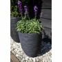 Cache-pot Capi Europe Noir Plastique Rond 34 x 34 x 46 cm de Capi Europe, Cache-pots - Réf : S71007930, Prix : 88,22 €, Remis...