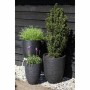 Cache-pot Capi Europe Noir Plastique Rond 34 x 34 x 46 cm de Capi Europe, Cache-pots - Réf : S71007930, Prix : 88,22 €, Remis...