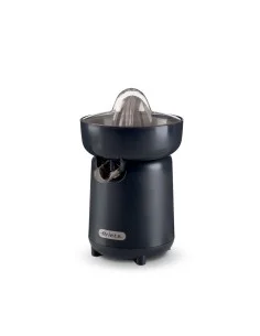 Elektrischer Entsafter Russell Hobbs 22760-56 60 W Stahl 2200 W | Tienda24 Tienda24.eu