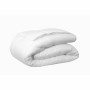 Remplissage de couette Blanreve 300 g/m² 240 x 260 cm de Blanreve, Couettes et housses de couette - Réf : S7105482, Prix : 65...