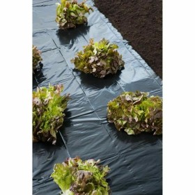 Filet contre les mauvaises herbes Nature de Nature, Lutte contre les mauvaises herbes - Réf : S7105923, Prix : 23,93 €, Remis...