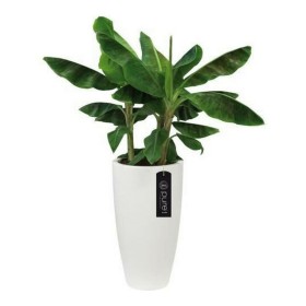 Pot Elho Blanc Plastique Rond Ø 35 cm Ø 34,5 x 61,5 cm de Elho, Pots de fleurs - Réf : S7106097, Prix : 101,86 €, Remise : %