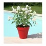 Plant pot Riviera 414056 Ø 39,2 x 35,8 cm Red | Tienda24 - Global Online Shop Tienda24.eu