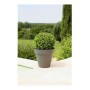 Plant pot Riviera 414076 Circular Grey Plastic by Riviera, Flower Pots - Ref: S7106181, Price: 27,15 €, Discount: %