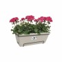 Pot Elho 542305541000 Marron Taupe polypropylène Plastique Rectangulaire 33,5 x 54,5 x 23 cm de Elho, Pots de fleurs - Réf : ...