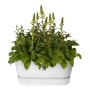 Plant pot Elho Terrase 80 Wheels 35 x 78 x 34 cm White | Tienda24 - Global Online Shop Tienda24.eu