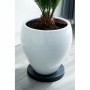 Support à roulettes pour pots de fleurs Nature Noir polypropylène (Ø 29,2 x 4 cm) de Nature, Accessoires - Réf : S7109331, Pr...