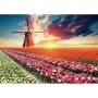 Puzzle Educa Fields of Tulips 18465 1500 Peças de Educa, Puzzles - Ref: S7123613, Preço: 34,69 €, Desconto: %