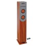 Haut-parleurs bluetooth Inovalley HP34-CD-WOOD 100W de Inovalley, Enceintes colonnes - Réf : S7132360, Prix : 129,85 €, Remis...