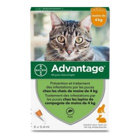 Antiparásitos Advantage Gato Conejo 1-4 Kg 0,4 ml 6 Unidades de Advantage, Antiparásitos - Ref: S7140473, Precio: 44,24 €, De...