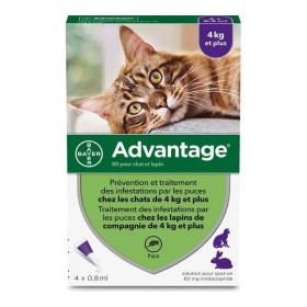 Antiparasiten Advantage Katze Hase +4 Kg 4 Stück 0,8 ml von Advantage, Anti-Parasiten - Ref: S7140474, Preis: 37,05 €, Rabatt: %