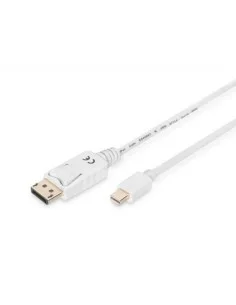 Adaptateur DisplayPort vers DVI Startech DP2DVIS Noir | Tienda24 Tienda24.eu