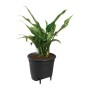 Pot Elho Noir polypropylène Rond Moderne de Elho, Pots de fleurs - Réf : S7148970, Prix : 26,57 €, Remise : %