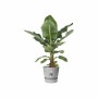 Maceta Elho Greenville Ø 24,48 cm Plástico de Elho, Macetas para flores - Ref: S7148979, Precio: 28,75 €, Descuento: %