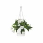 Jardinière suspendue Elho Greenville Blanc Plastique Ø 23,9 x 20,3 cm de Elho, Pots à suspendre - Réf : S7148984, Prix : 31,4...