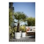 Pot Elho Greenville Ronde Blanc Plastique (Ø 29,5 x 27,8 cm) de Elho, Pots de fleurs - Réf : S7148985, Prix : 37,36 €, Remise...