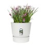 Plant pot Elho Greenville Circular White Plastic (Ø 29,5 x 27,8 cm) by Elho, Flower Pots - Ref: S7148985, Price: 37,36 €, Dis...