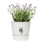 Plant pot Elho Greenville Circular White Plastic (Ø 29,5 x 27,8 cm) by Elho, Flower Pots - Ref: S7148985, Price: 37,36 €, Dis...