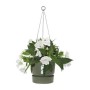 Jardinière suspendue Elho Greenville Ø 23,9 x 20,3 cm Vert de Elho, Pots à suspendre - Réf : S7148989, Prix : 32,98 €, Remise...