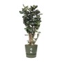 Maceta Elho Greenville Ø 39 x 36,8 cm Verde de Elho, Macetas para flores - Ref: S7148991, Precio: 52,02 €, Descuento: %