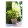 Plant pot EDA Tuscan Taupe Plastic Squared Ø 50 cm (49,5 x 49,5 x 52,5 cm) by EDA, Flower Pots - Ref: S7149128, Price: 55,14 ...