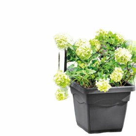 Pot Deroma Carré Anthracite Injecté Ø 38 cm de Deroma, Pots de fleurs - Réf : S7149179, Prix : 27,81 €, Remise : %