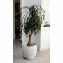 Pot EDA Graphit Rond Blanc Ø 50 cm de EDA, Pots de fleurs - Réf : S7149304, Prix : 74,21 €, Remise : %