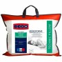 Pillow DODO 50 x 70 cm by DODO, Pillows - Ref: S7151734, Price: 39,74 €, Discount: %