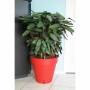 Maceta Riviera Rojo Polipropileno Plástico Redondo Bola Ø 50 cm de Riviera, Macetas para flores - Ref: S7152081, Precio: 49,2...