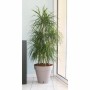 Plant pot Riviera Ø 60 cm Taupe polypropylene Circular Ball by Riviera, Flower Pots - Ref: S7152084, Price: 62,79 €, Discount: %