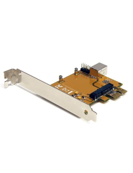 Carte PCI Mini PCI-E PEX2MPEX | Tienda24 Tienda24.eu