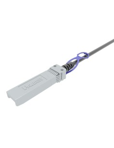 RJ45 Connector Lanberg PLS-6000 100 Units | Tienda24 Tienda24.eu