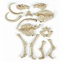 Jeu scientifique Clementoni Archéo Ludic Mammoth Fluorescent de Clementoni, Sciences - Réf : S7157073, Prix : 25,29 €, Remise...