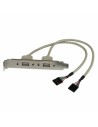 Câble USB Startech USBPLATE USB A IDC | Tienda24 Tienda24.eu