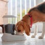 Pet feeding dish Ferplast 3 L 29,2 x 20,2 x 28,8 cm by Ferplast, Automatic feeders - Ref: S7161717, Price: 34,15 €, Discount: %