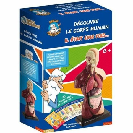 Juego de Ciencia Educa HELLO MAESTRO Bust Anatomy (FR) | Tienda24 - Global Online Shop Tienda24.eu