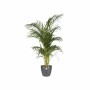 Pot Elho 5642322542500 Anthracite polypropylène Plastique Rond de Elho, Pots de fleurs - Réf : S7164803, Prix : 29,84 €, Remi...