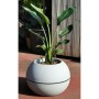 Planter Riviera D40 Ball Stone Granite Ø 40 cm | Tienda24 - Global Online Shop Tienda24.eu